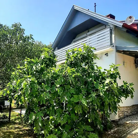 Hangvilla Badacsony 度假居