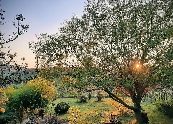 Hangvilla Badacsony بيت للعطل باداتشونيتوماي