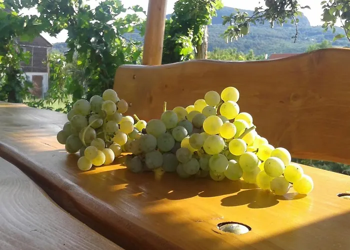 Hangvilla Badacsony Σπίτι διακοπών *