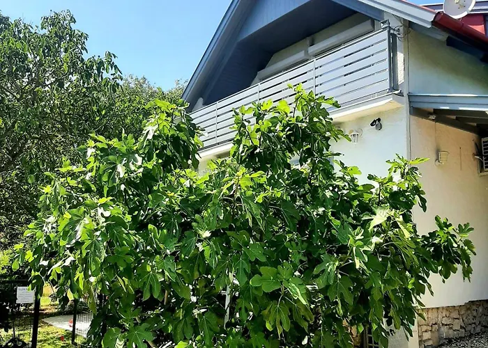 Hangvilla Badacsony بيت للعطل